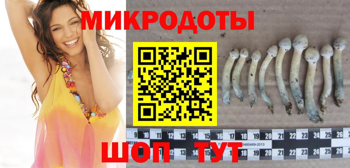 Псилоцибиновые грибы MAGIC MUSHROOMS  сколько стоит  Псилоцибиновые грибы Cubensis  Тейково  Вход с VPN 